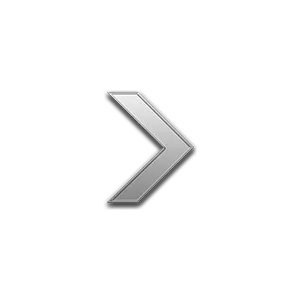 Silver 1 rank icon