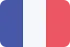 France flag